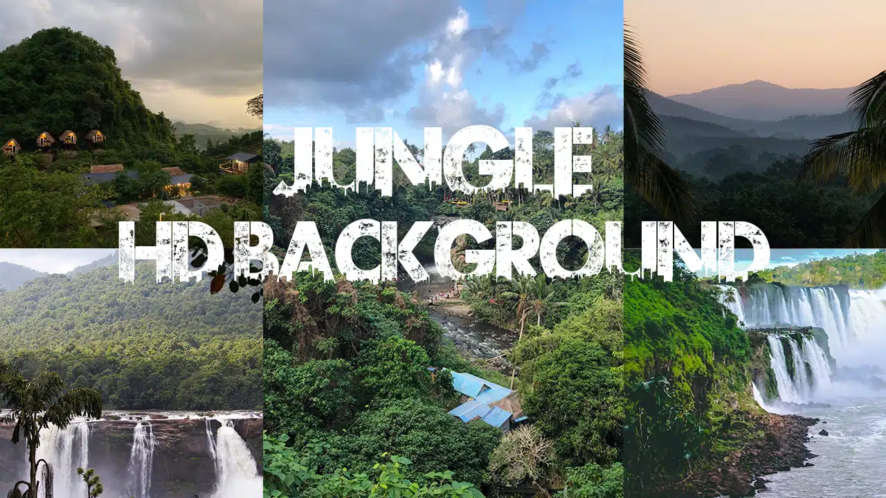 Urban Jungle Background | Jungle Background HD Download - Zaman Edit